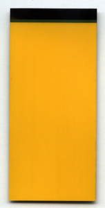 EL-Panel, yellow-orange, 40mm x 87mm, cutable